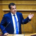 Πλεύρης: Υπάρχουν κατατρεγμένοι πρόσφυγες, υπάρχουν και κακομαθημένοι μετανάστες που νομίζουν ότι η Ευρώπη τους χρωστάει