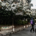Χιονόπτωση στο κέντρο της Αθήνας