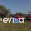 Σοβαρό τροχαίο στην Εύβοια, αυτοκίνητο έπεσε πάνω σε δέντρο και έπιασε φωτιά