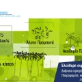 Δήμος Αθηναίων: Δωρεάν προγράμματα άθλησης σε τέσσερα πάρκα της πόλης