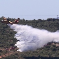 Φωτιά στη Φωκίδα: Μία σύλληψη για εμπρησμό από αμέλεια - Επιβλήθηκε πρόστιμο 1.074 ευρώ