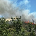 Αχαΐα: Φωτιά σε δασική έκταση στα Ζησιμαίικα - Στη μάχη και εναέρια μέσα