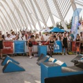 Allwyn Fitness Challenge (Ninja Warrior)