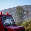 Φωτιά τώρα στον Ορχομενό - Επιχειρούν 4 αεροσκάφη και 2 ελικόπτερα