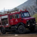 Σε ύφεση η φωτιά στον Ορχομενό με διάσπαρτες εστίες