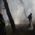 Φωτιά στο Ωραιόκαστρο
