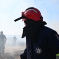 Κιλκίς: Μήνυμα 112 για φωτιά κοντά στα σύνορα με την Βόρεια Μακεδονία