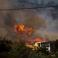Συνελήφθη 43χρονος για την πυρκαγιά στο Καλαπόδι Φθιώτιδας