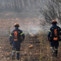Κορινθία: Χωρίς ενεργό μέτωπο η φωτιά στο Σπαθοβούνι