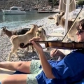 Ελληνοαυστραλός σολίστ «μαγεύει» μέχρι και τις κατσίκες παίζοντας βιολί σε παραλία της Σύμης