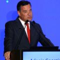 Άδωνις Γεωργιάδης: «Ο Τσίπρας σχεδίασε τον πολιτικό διασυρμό του Φάμελλου»