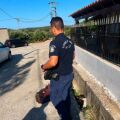 Φρίκη στην Κεφαλονιά: Άγνωστος πυροβόλησε και σκότωσε αδέσποτο σκυλί μέσα σε κατοικημένη περιοχή
