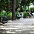 Απομακρύνεται προτομή του Μάνου Χατζιδάκι από το Άλσος Παγκρατίου