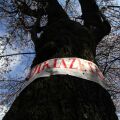 Φοιτητικό Στεγαστικό Επίδομα: Λήγει την 31 Ιουλίου, η προθεσμία αιτήσεων για το  2025-2026