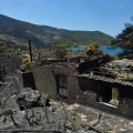 Άμεση κρατική αρωγή και στήριξη των πληγέντων - Το σχέδιο αποκατάστασης των πυρόπληκτων περιοχών	