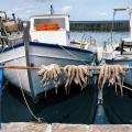 «Γιατί οι Τούρκοι συρρέουν στα ελληνικά νησιά;»: Άρθρο του Ντ. Ζεϊρέκ στην τουρκική εφημερίδα «Nefes»	