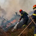 Έξι συλλήψεις για εμπρησμούς από αμέλεια – Πέταξε αναμμένο τσιγάρο και άλλος άναψε φωτιά για να μαγειρέψει