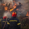 Φωτιά στη Χαλκιδική: Τρεις πυροσβέστες στο νοσοκομείο με αναπνευστικά προβλήματα