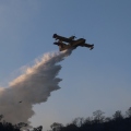 Φωτιά τώρα στην Πάστρα Κεφαλονιάς - Σηκώθηκαν τέσσερα εναέρια μέσα