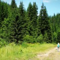 Wellness, κρασί και φύση: Ανακαλύπτοντας τη μαγεία της Δράμας