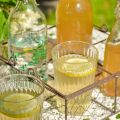 Έχει πράγματι τζίντζερ το ginger ale; Η απάντηση δεν είναι αυτή που νομίζετε