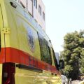 Βούλα: Τρεις τραυματίες από επίθεση δύο σκύλων