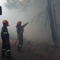 Χωρίς ενεργό μέτωπο η φωτιά στη Σητεία – Μάχη με διάσπαρτες εστίες