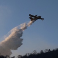 Φωτιά τώρα στο Λιμογάρδι Φθιώτιδας - Σηκώθηκαν εναέρια μέσα