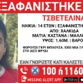 Συναγερμός για την εξαφάνιση 14χρονης από την περιοχή της Χαλκίδας