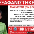 Συναγερμός για την εξαφάνιση 14χρονου από χώρο φιλοξενίας στην περιοχή των Ιωαννίνων