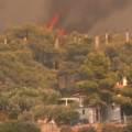 Σε πύρινο κλοιό η Δυτική Αττική: Καίγονται σπίτια στην Ψάθα, 112 για απομάκρυνση προς Μέγαρα 