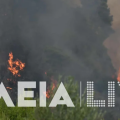 Φωτιά σε δάσος στο Μουζάκι Ηλείας – Μεγάλη κινητοποίηση της Πυροσβεστικής