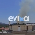 Μήνυμα από το 112 για τη φωτιά στο Αλιβέρι της Εύβοιας - «Παραμείνετε σε ετοιμότητα»