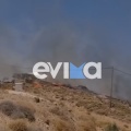 Φωτιά τώρα στην Κάρυστο