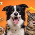 skroutz
