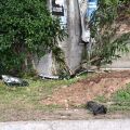 Ρέντη: Πριν από 4 χρόνια είχε σκοτωθεί σε τροχαίο και αδελφάκι της 13χρονης - Το είχε παρασύρει λεωφορείο