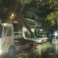 Πτώση δέντρου στη Θεσπρωτία