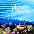 Ploom