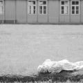 mauthausen_still_08