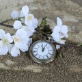 Ρολόι και λουλούδι στην αμμουδιά