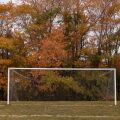 soccer-net-on-a-field-in-a-park-with-autumn-trees-2026-03-17-21-46-32-utc