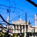Ήλιος πίσω από κλαδιά δέντρου