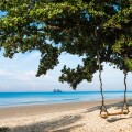 Κούνια σε πεύκο με φόντο τη θάλασσα σε παραλία