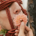 anthos by Maartje Hensen, Jessie Yingying Gong