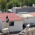 Το δώμα στο οποίο διέμενε η πολύτεκνη οικογένεια στο Περιστέρι