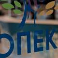 Γραφεία ΟΠΕΚΑ