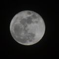athensvoice_-_2026-05-31t164145_076