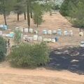 Φιλοθέη: Βίντεο δείχνει μελισσοκόμο να απομακρύνεται από το σημείο της φωτιάς