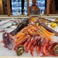 Casa Fish 