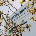 olympic_brewery_1
